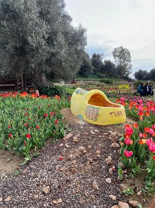 Appartamento Casa Vacanze “Dolce Sosta” Quartu SantʼElena Italia