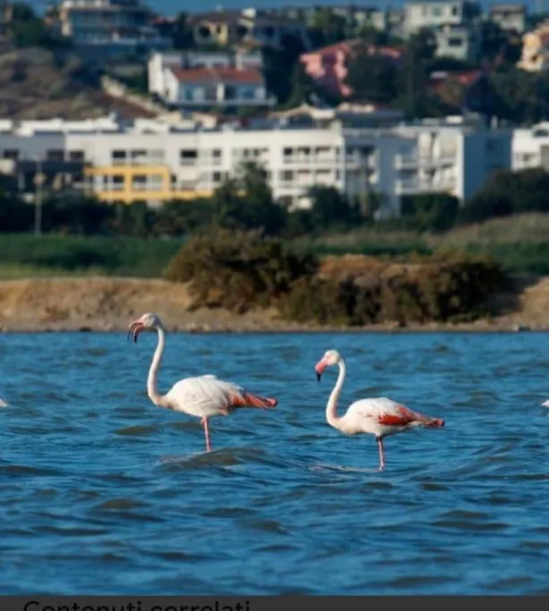 Casa Vacanze “Dolce Sosta” Quartu Sant'Elena Apartment
