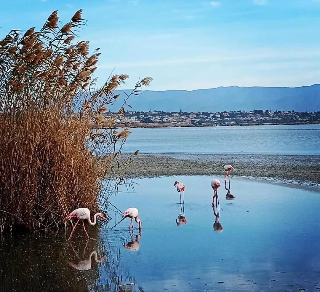 Casa Vacanze “Dolce Sosta” Quartu SantʼElena Apartman